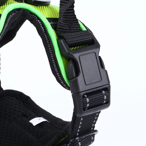 NordVis - Polaris Harness™